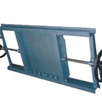 ˫������բ��