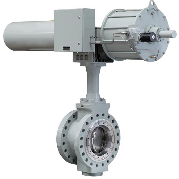 ������й©����